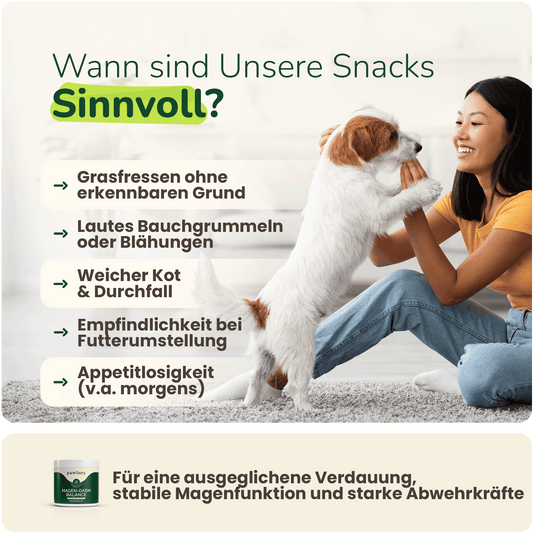 Frau spielt mit Hund im Wohnzimmer – daneben Hinweise, wann probiotische Snacks für Hunde sinnvoll sind: bei Durchfall, Blähungen, Appetitlosigkeit oder Futterumstellung.