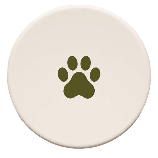 Deckel von einer Snackdose mit einer Pfote darauf