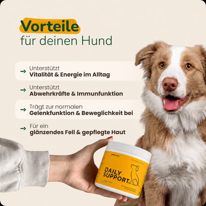 16 in 1 Daily Support - Hundesupplement