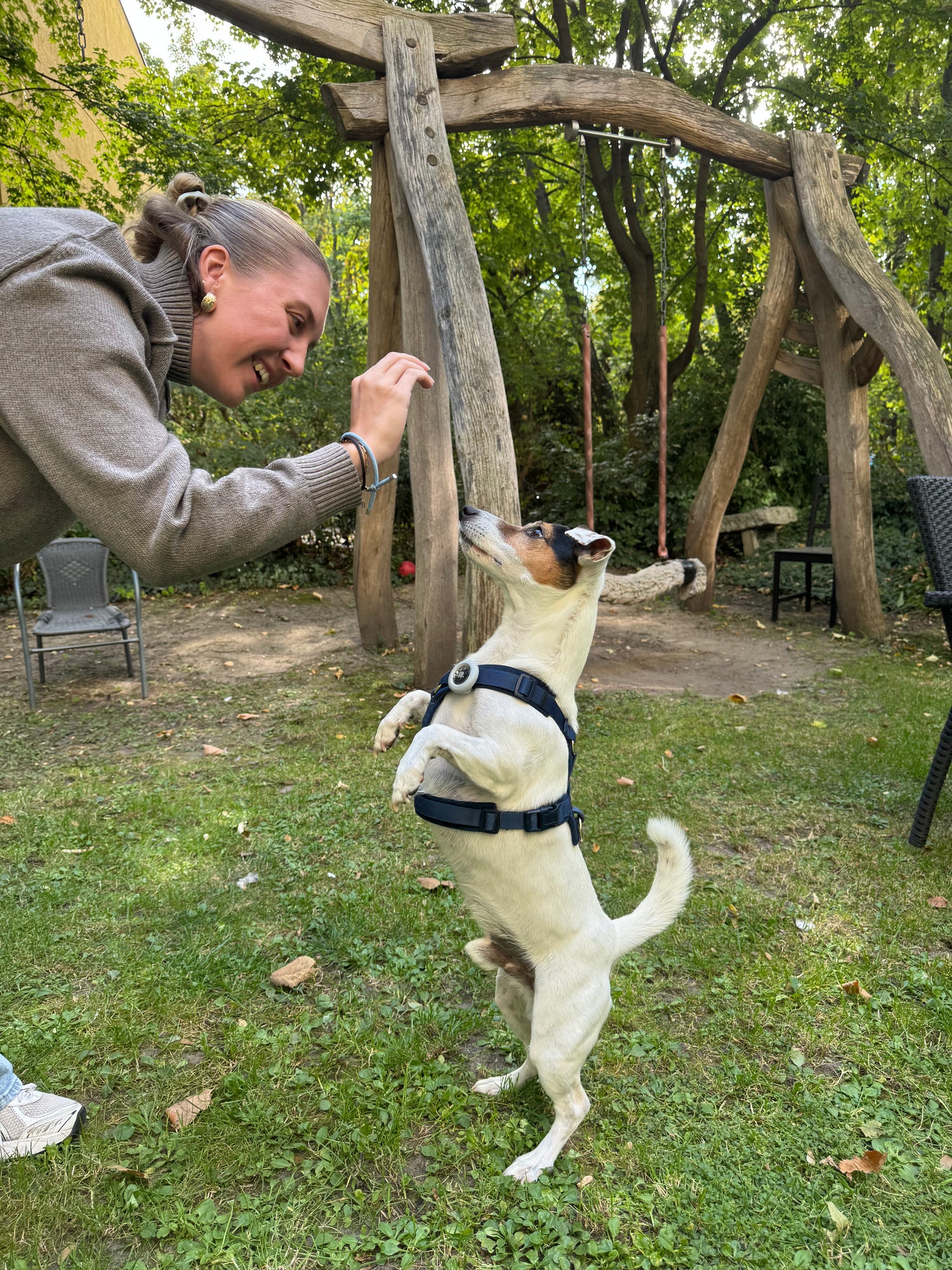 Hund steht auf den Hinterbeinen und schaut erwartungsvoll zu einer Person auf, die ihm im Garten einen Snack anbietet – ein lebendiger Moment, der Aktivität und Freude zeigt.