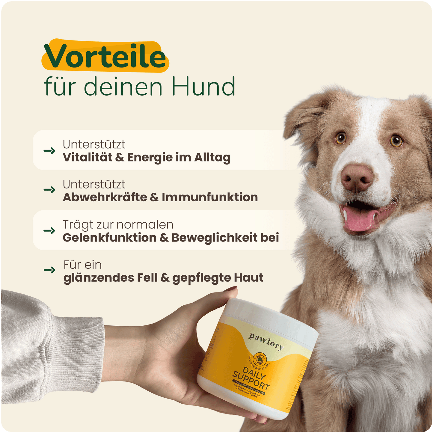 16 in 1 Daily Support - Hundesupplement