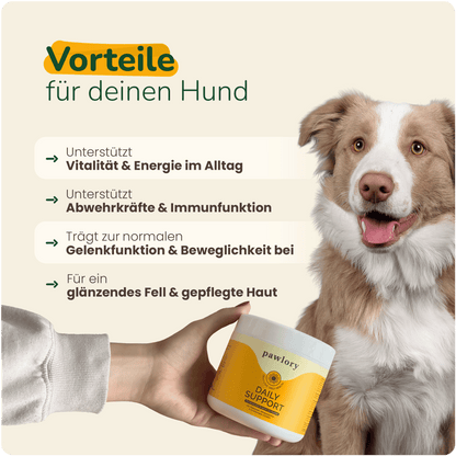 16 in 1 Daily Support - Hundesupplement