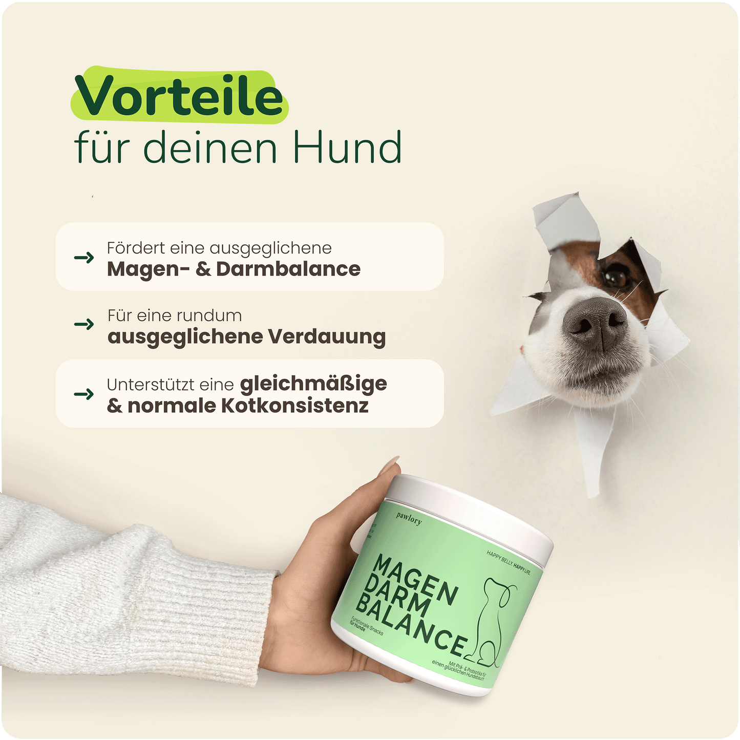 Magen-Darm Balance Hundesupplement