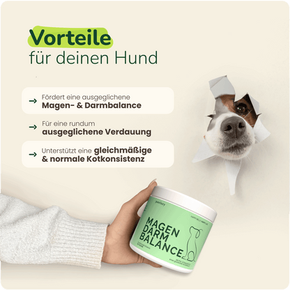 Magen-Darm Balance Hundesupplement