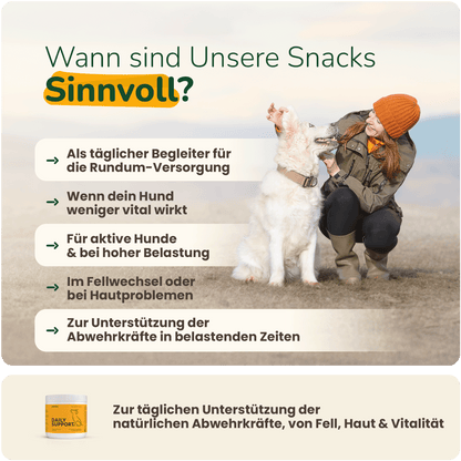 16 in 1 Daily Support - Hundesupplement