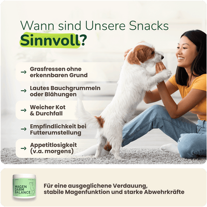 Magen-Darm Balance Hundesupplement