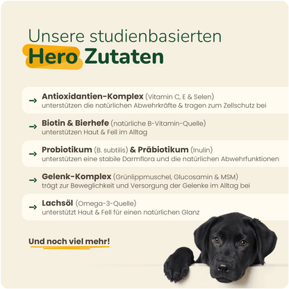 16 in 1 Daily Support - Hundesupplement