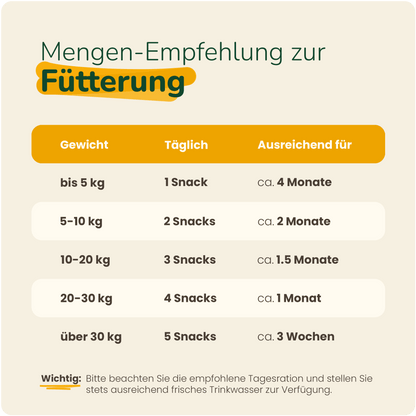 16 in 1 Daily Support - Hundesupplement