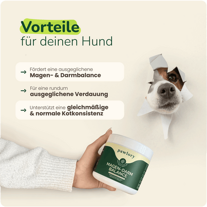 Magen-Darm Balance - Hundesupplement