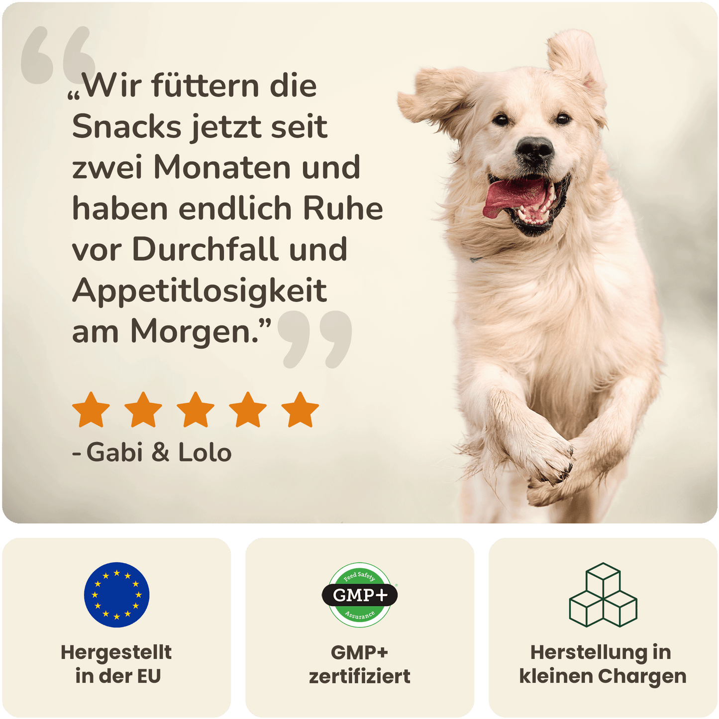 Magen-Darm Balance - Hundesupplement