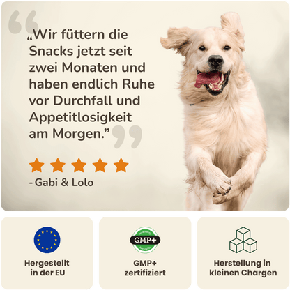 Magen-Darm Balance - Hundesupplement