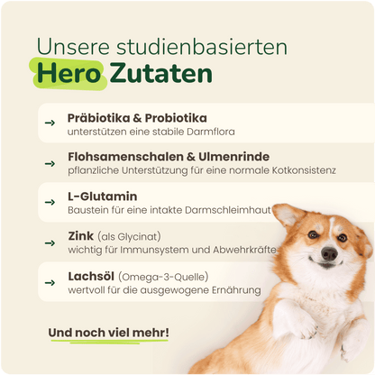 Magen-Darm Balance - Hundesupplement